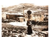 In the Arab village of Sebastieh, built on part of the site of the city of Samaria stands the shell of a cathedral erected by the Crusaders in honour of St. John the Baptist.